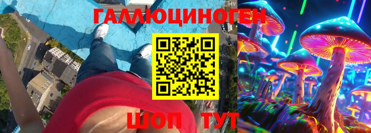 Псилоцибиновые грибы MAGIC MUSHROOMS  Вход с VPN  Куйбышев 